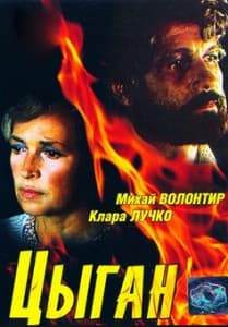 Цыган (фильм 1979) смотреть онлайн все серии в хорошем качестве бесплатно