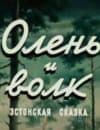 Олень и Волк (мультфильм 1950) 12 Олень и Волк (мультфильм 1950) смотреть онлайн бесплатно в хорошем качестве