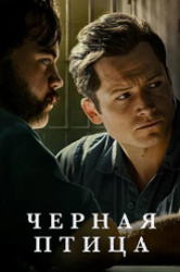 Чёрная птица (сериал 2022)